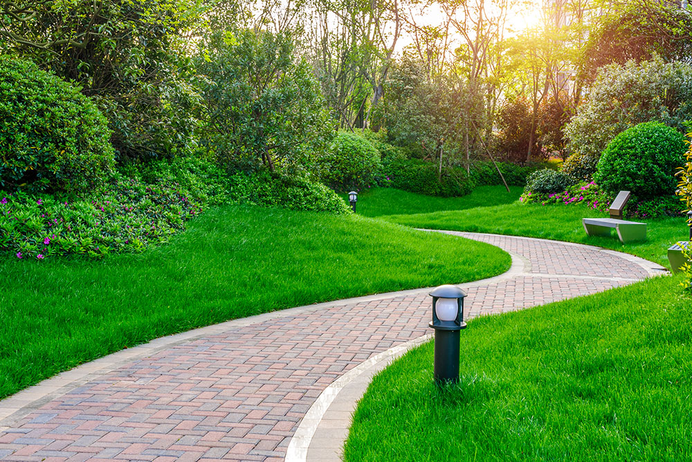 Curved paved garden path with planting and lighting