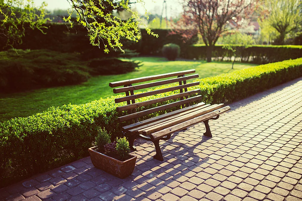 Garden bench beside paving and hedging
